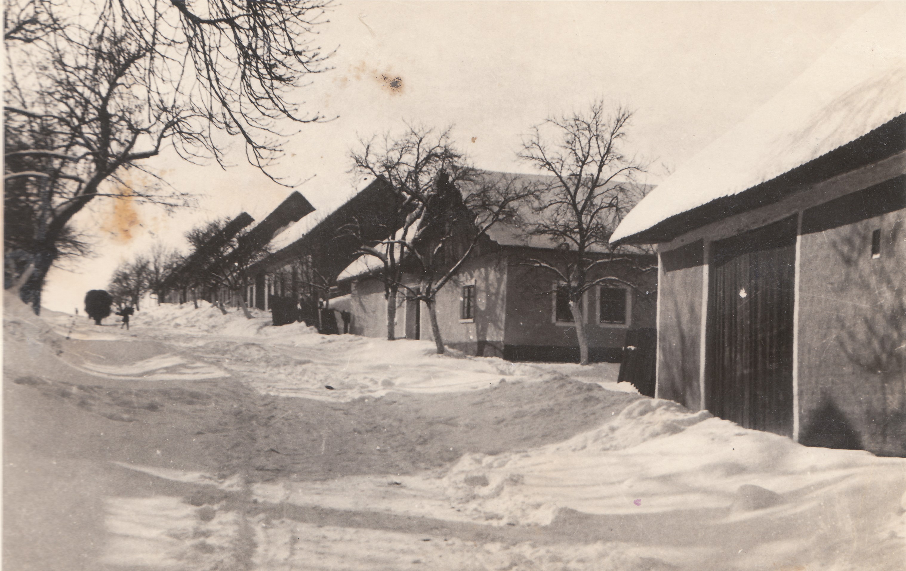 Zima 1929